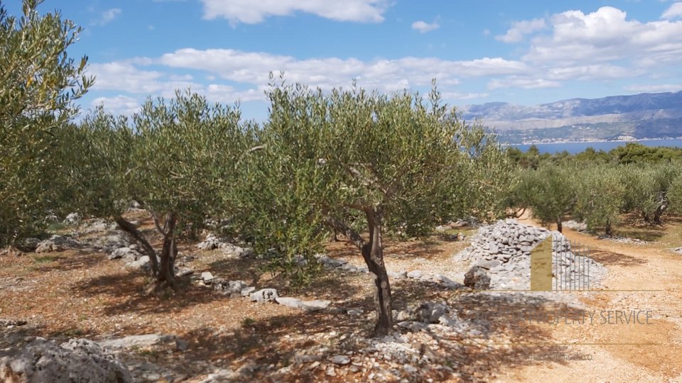 AGRICULTURAL LAND WITH OLIVE TREE GARDEN AND SMALL, STONE HOUSE
