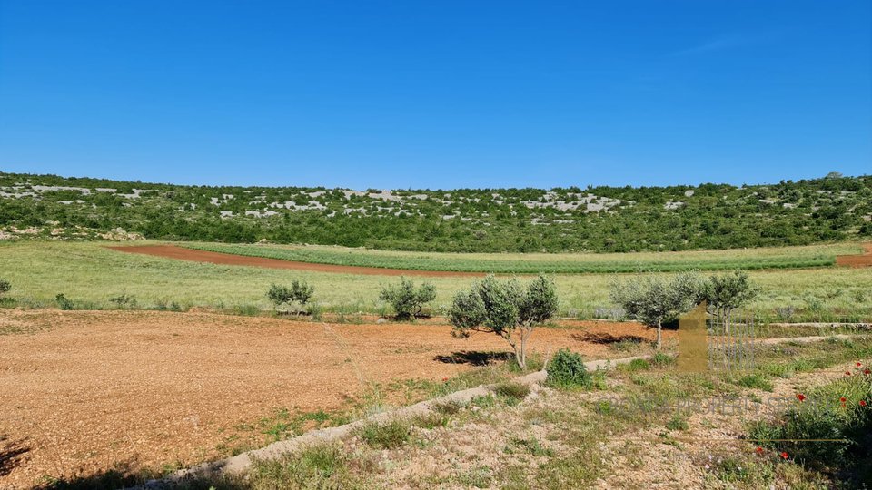 ATTRACTIVE AGRICULTURAL LAND OF 32,000 M2 WITH PREPARATION FOR CONSTRUCTION OF A 300 M2 FACILITY (basement, ground floor and first floor)