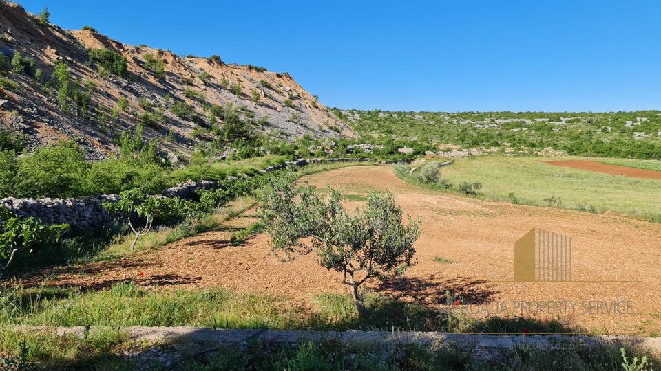 ATTRACTIVE AGRICULTURAL LAND OF 32,000 M2 WITH PREPARATION FOR CONSTRUCTION OF A 300 M2 FACILITY (basement, ground floor and first floor)