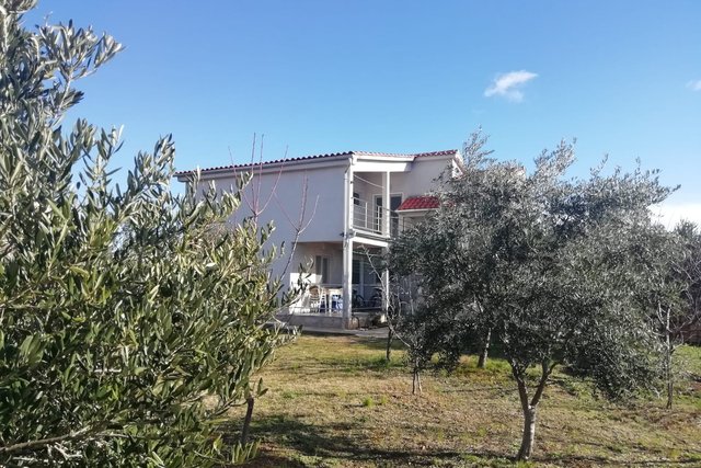 LITTLE HOUSE SURROUNDED WITH OLIVE TREES LOCATED ON LAND SURFACE 3500 SQM IN TOWN TRIBUNJ!
