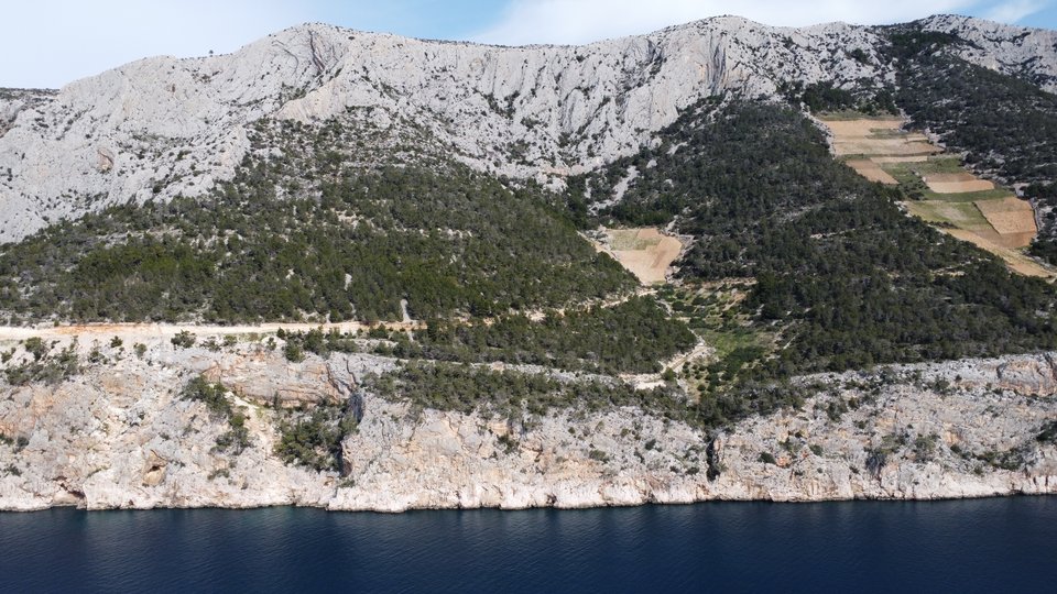 Agricultural land with an olive grove, first row by the sea - Hvar!