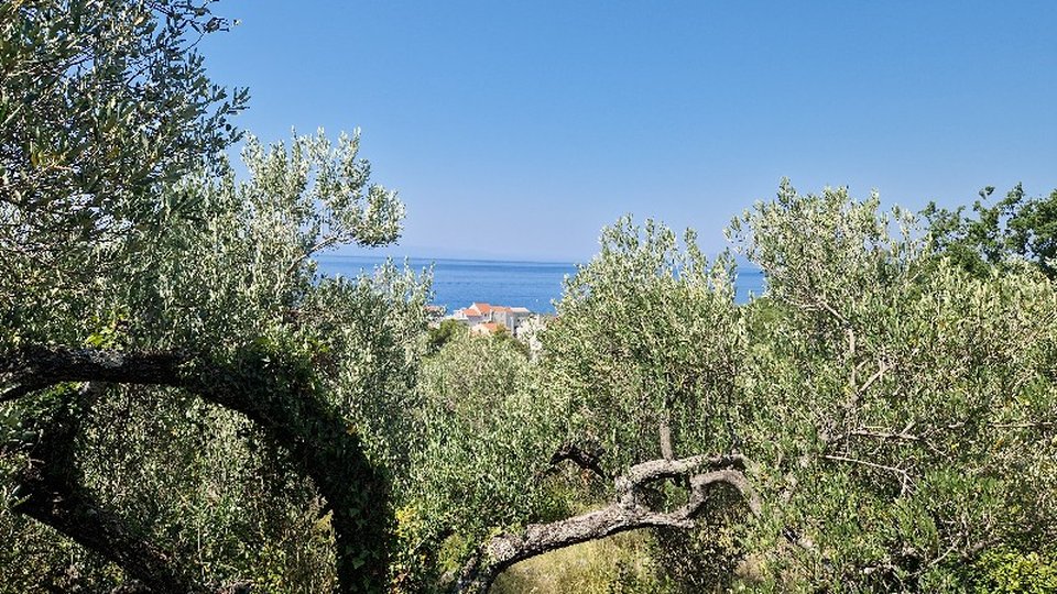 Attractive land with a sea view - Tučepi!