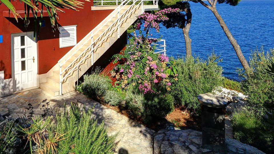 Чудесный дом в первом ряду у пляжа с тремя апартаментами, террасами и садом - остров Чиово!