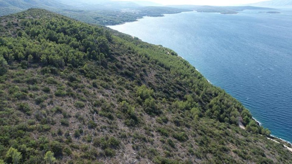 Agricultural land, first row by the sea on the island of Hvar!