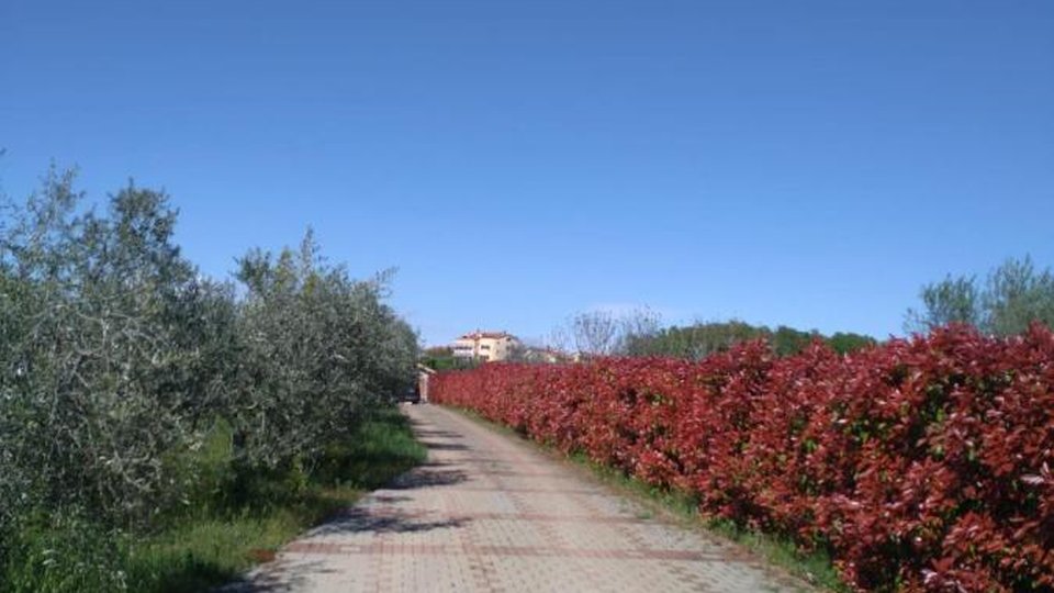 Роскошная вилла с оливковой рощей и видом на море - Новиград, Истрия!