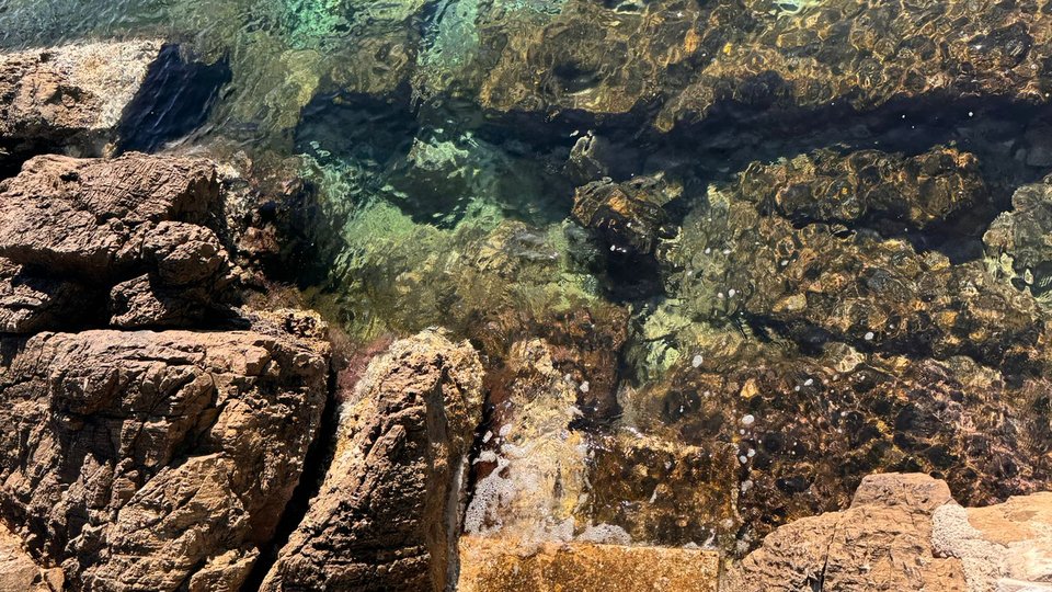 Красивая роскошная вилла в 1-м ряду от моря на острове Корчула!