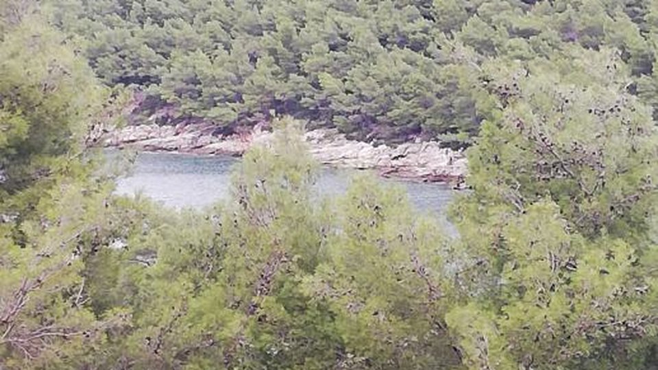 Building plot in a prime location 60 m from the beach on the island of Korčula!