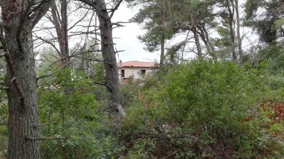 Baugrundstück in bester Lage 60 m vom Strand entfernt auf der Insel Korčula!
