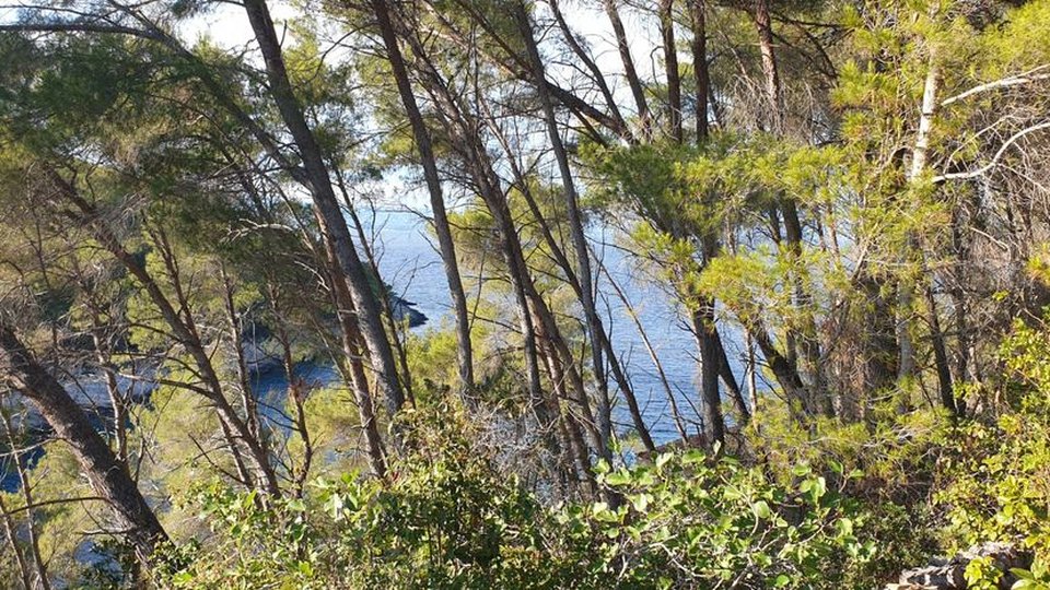Exceptional land 1st row by the sea with endless potential - Vela Luka, Korčula!