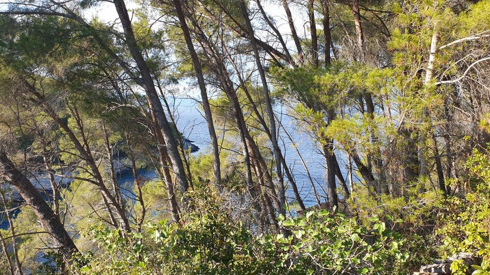 Izjemno zemljišče 1. red ob morju z neskončnim potencialom - Vela Luka, Korčula!