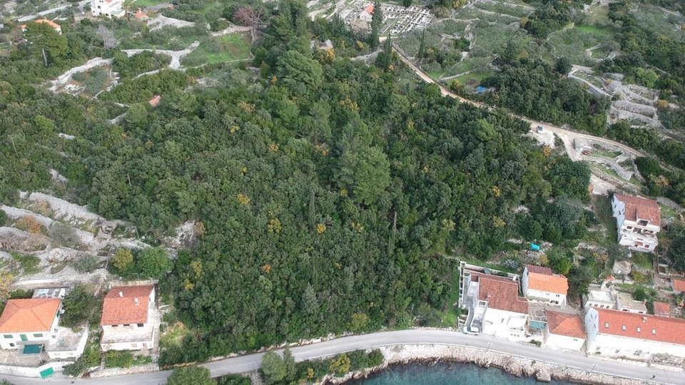Atraktivno zemljište od 8 800 m2, 1.red do mora na otoku Korčuli!