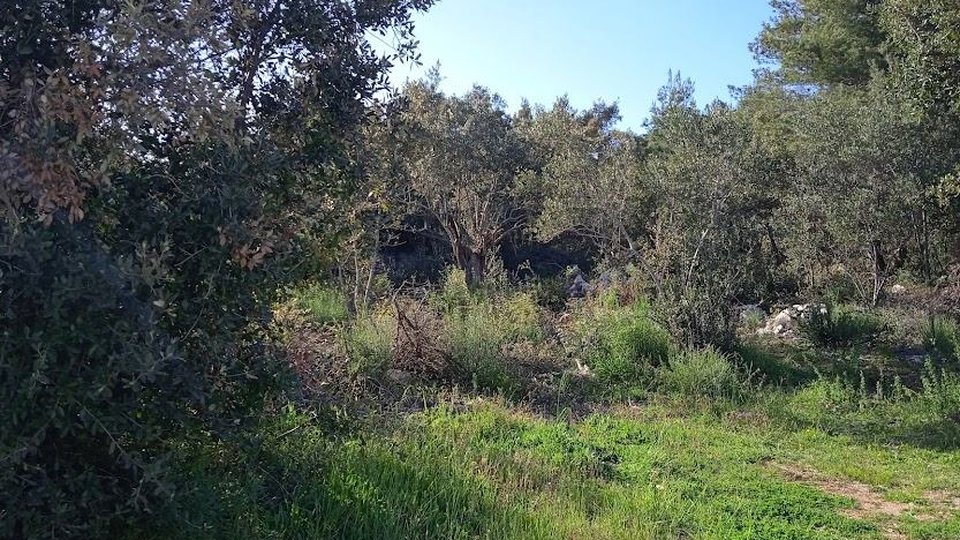 Large plot of land in an exclusive location next to the beach - the island of Pašman!