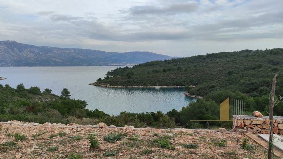 Attraktives Agrarland mit Olivenbäumen 80 m vom Meer entfernt auf der Insel Hvar!