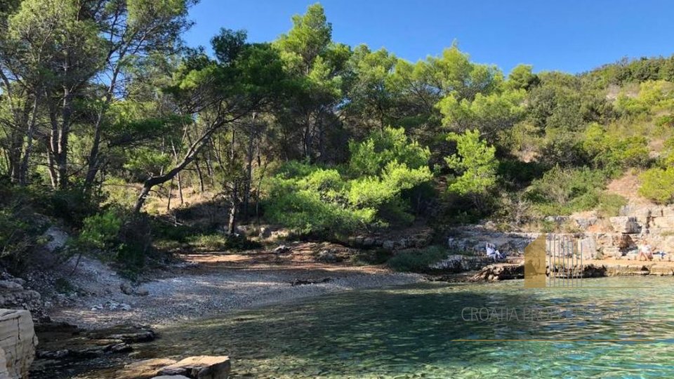 Attraktives Agrarland mit Olivenbäumen 80 m vom Meer entfernt auf der Insel Hvar!