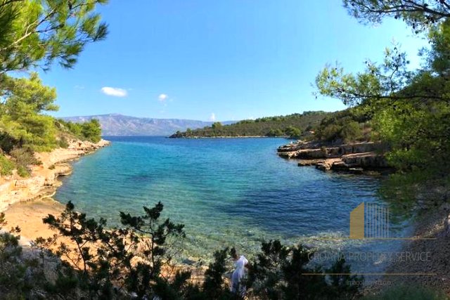 Attractive agricultural land with olive trees 80 m from the sea on the island of Hvar!
