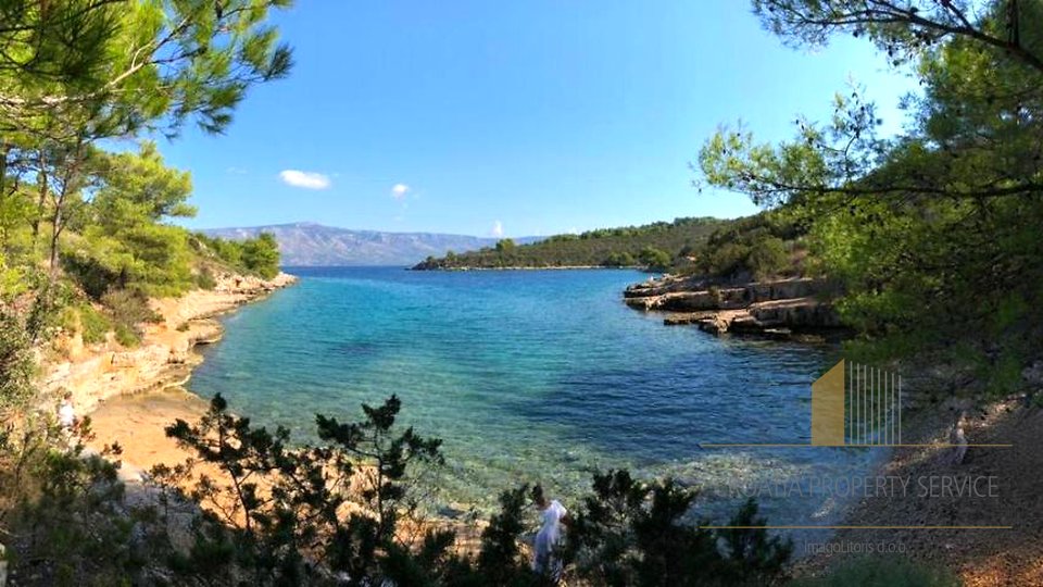 Attraktives Agrarland mit Olivenbäumen 80 m vom Meer entfernt auf der Insel Hvar!