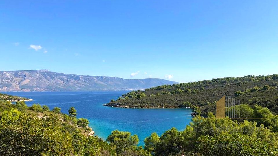 Attractive agricultural land with olive trees 80 m from the sea on the island of Hvar!