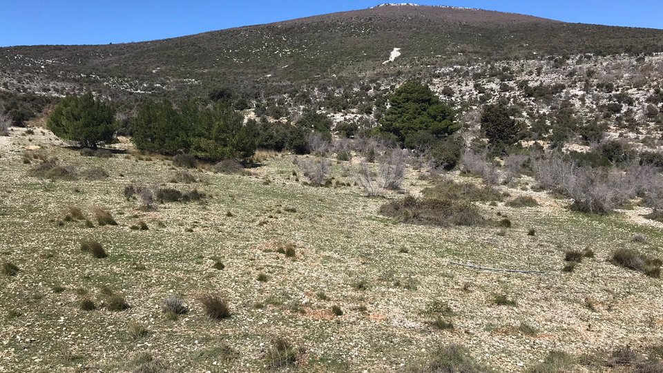 Kmetijsko zemljišče 69.000 m2 s panoramskim pogledom na morje - Kaštela!