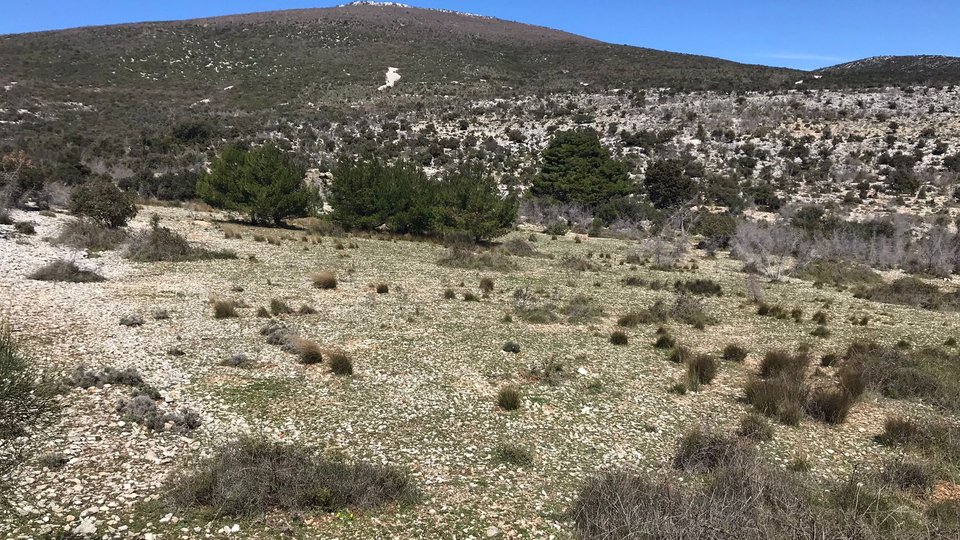 Kmetijsko zemljišče 51565 m2 s panoramskim pogledom na morje - Kaštela!