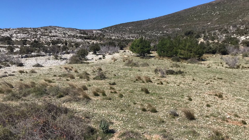 Kmetijsko zemljišče 51565 m2 s panoramskim pogledom na morje - Kaštela!