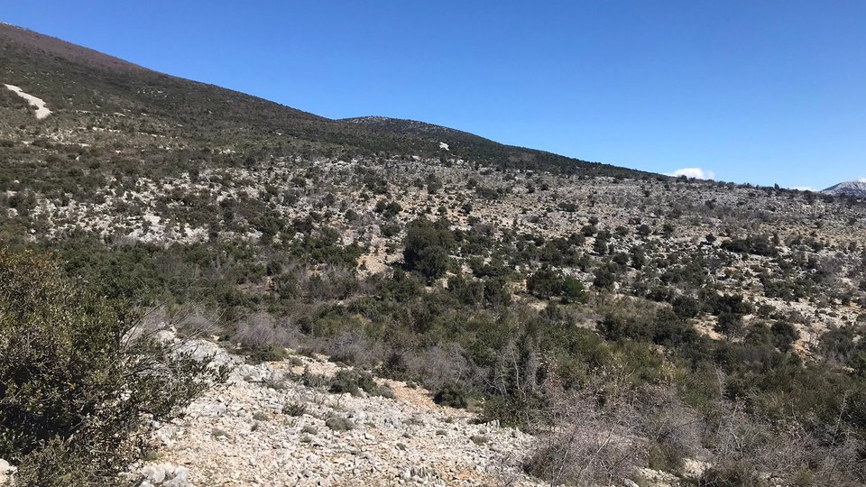 Kmetijsko zemljišče 51565 m2 s panoramskim pogledom na morje - Kaštela!