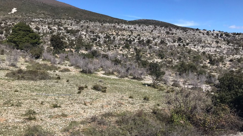 Kmetijsko zemljišče 51565 m2 s panoramskim pogledom na morje - Kaštela!