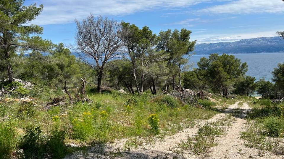 Popolna naložba: gradbeno zemljišče T2 v Sutivanu, 100 m od plaže!