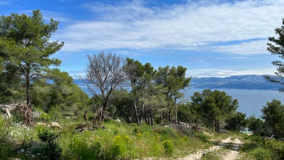 Popolna naložba: gradbeno zemljišče T2 v Sutivanu, 100 m od plaže!