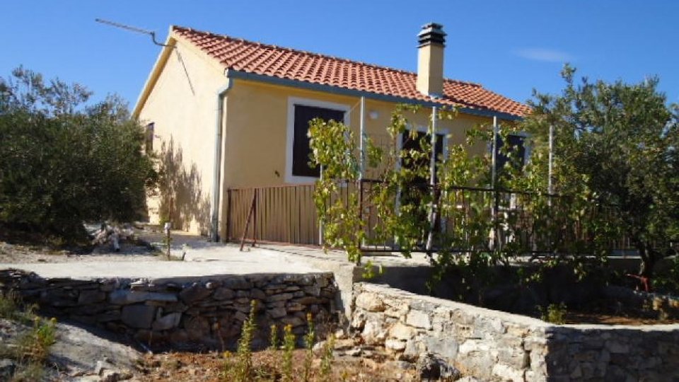 Large agricultural land with an olive grove and a house on the island of Brač!