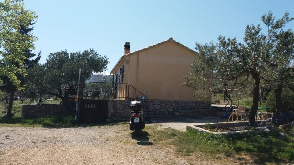 Großes landwirtschaftliches Grundstück mit Olivenhain und einem Haus auf der Insel Brač!