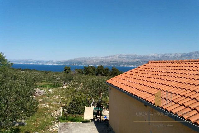 Large agricultural land with an olive grove and a house on the island of Brač!