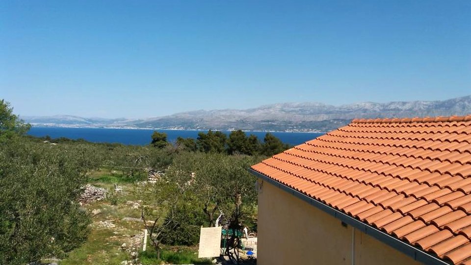 Large agricultural land with an olive grove and a house on the island of Brač!