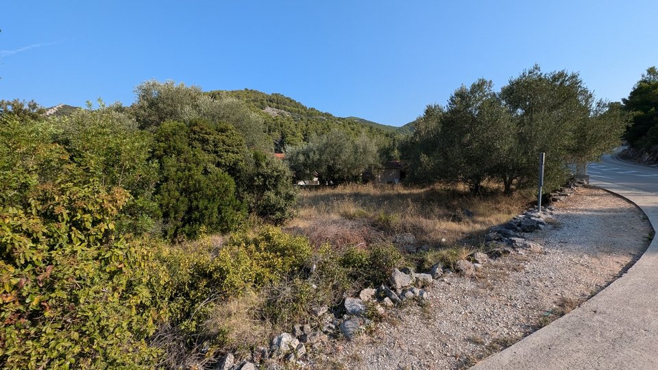 Baugrundstück 60 m zum Meer auf der Insel Korčula!