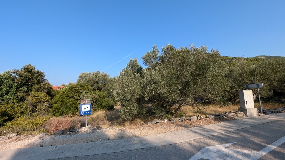 Baugrundstück 60 m zum Meer auf der Insel Korčula!