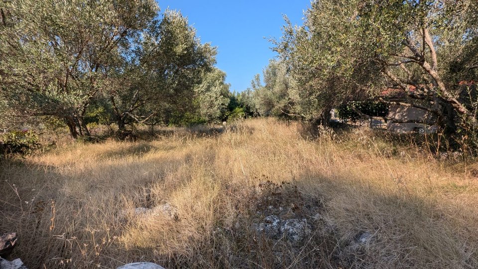 Baugrundstück 60 m zum Meer auf der Insel Korčula!