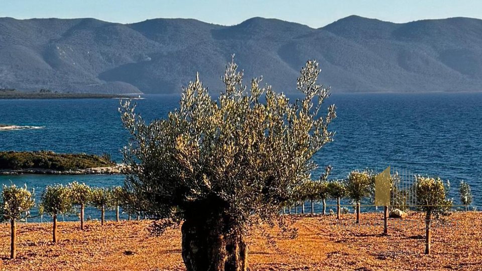 Großes Anwesen, erste Reihe am Meer auf der Halbinsel Pelješac!