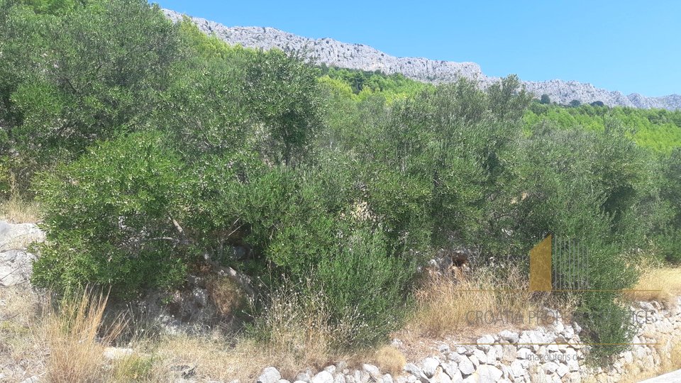BUILDING LAND ACCOMMODATED ON THE HILL OF BEAUTIFUL OMIŠ AREA!